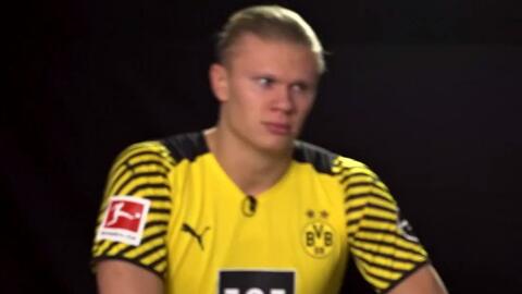 F1阿布扎比站二练：可以庆祝冠军了？诺里斯强势领先